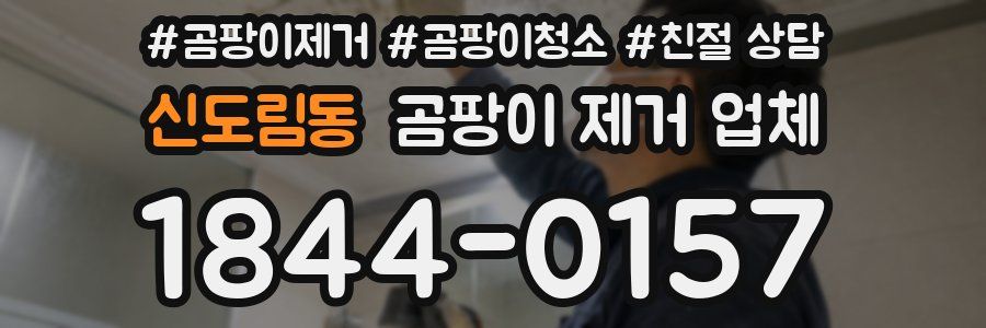 신도림동 곰팡이 제거 업체