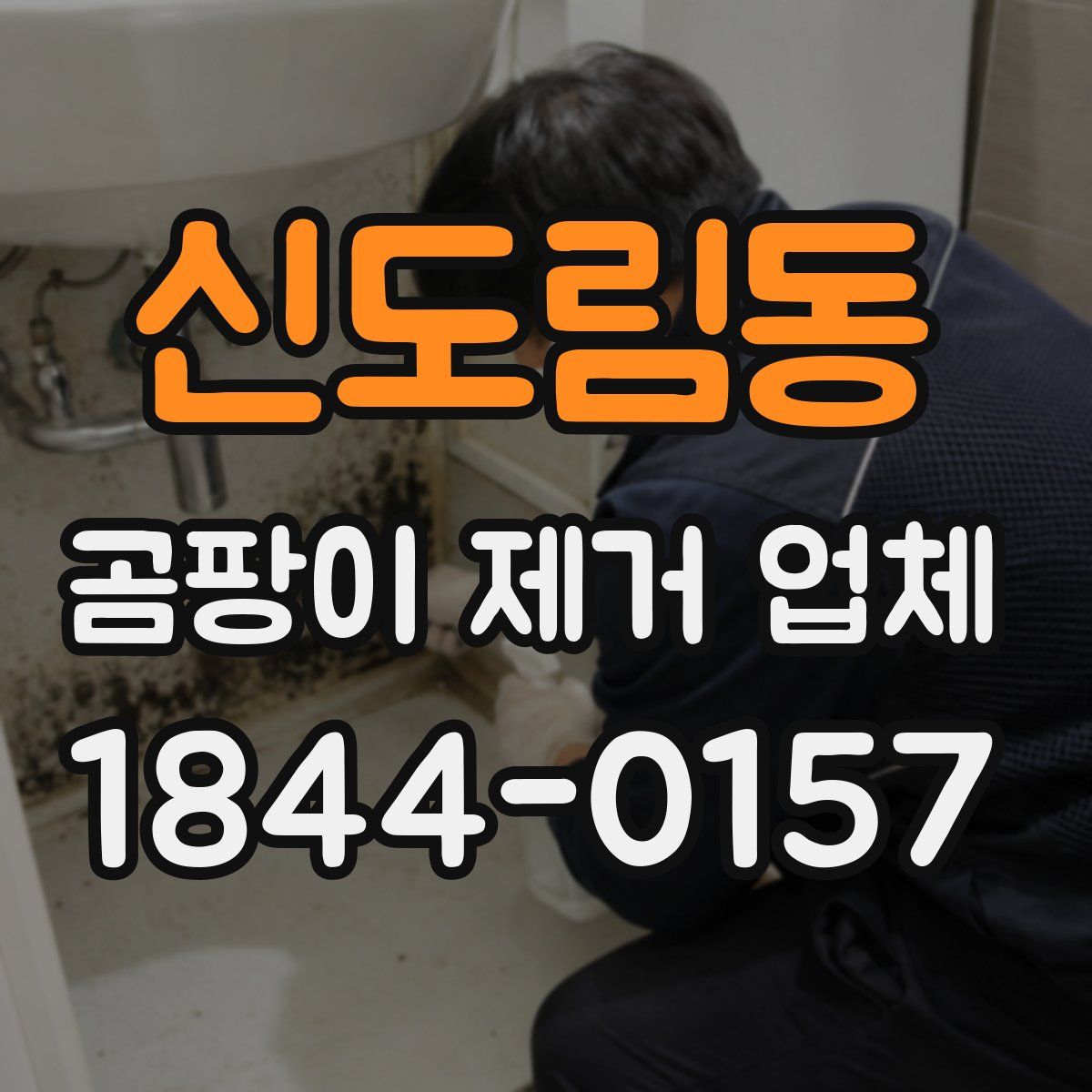 신도림동 곰팡이 제거 업체