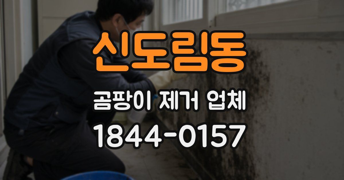 신도림동 곰팡이 제거 업체