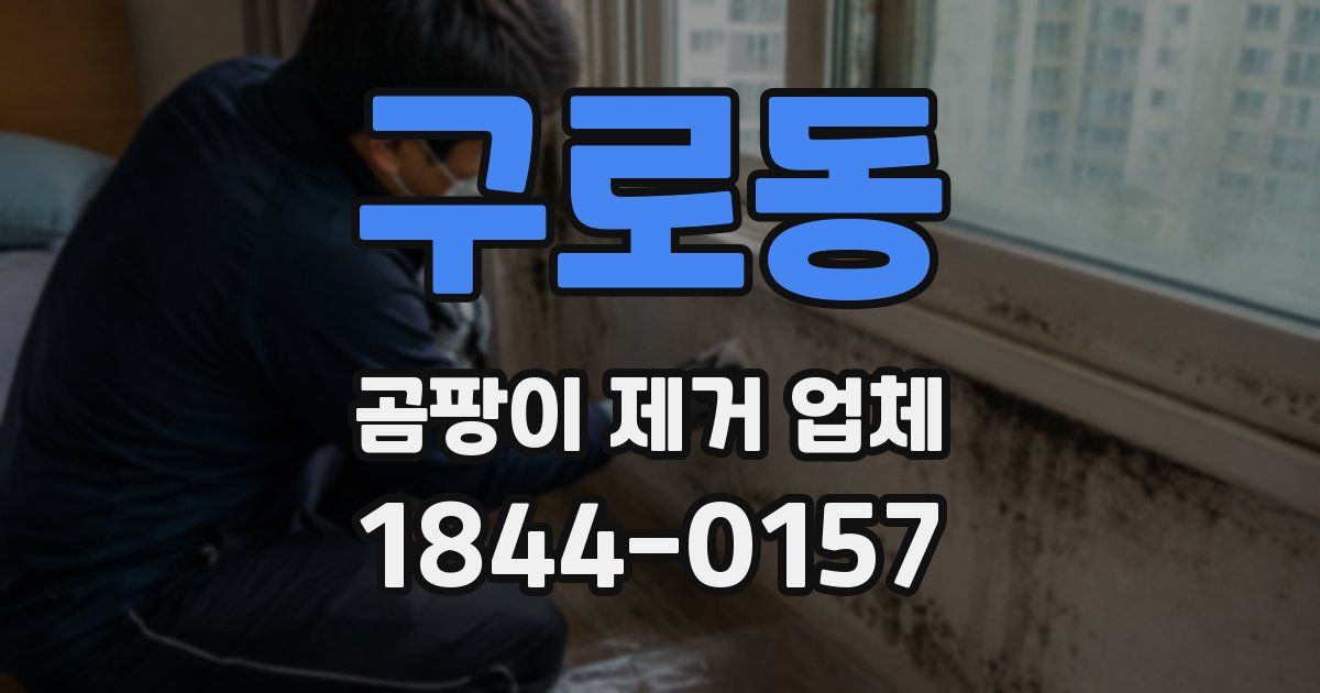 구로동 곰팡이 제거 업체