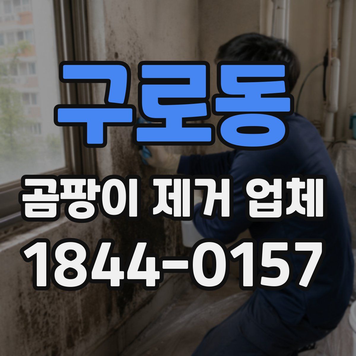 구로동 곰팡이 제거 업체