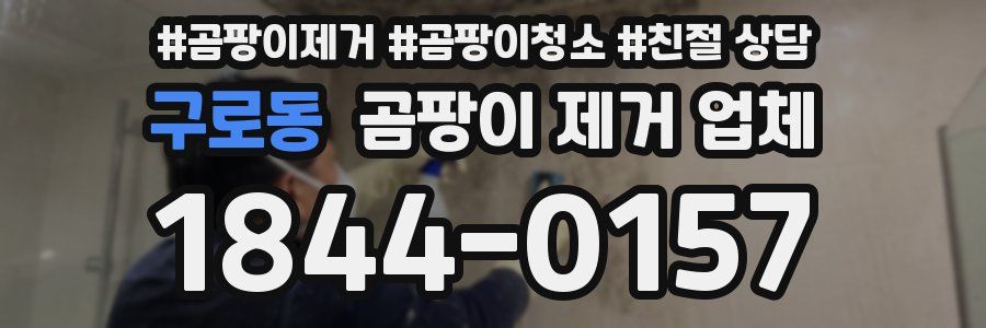 구로동 곰팡이 제거 업체