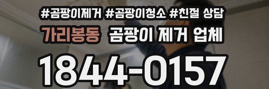 가리봉동 곰팡이 제거 업체