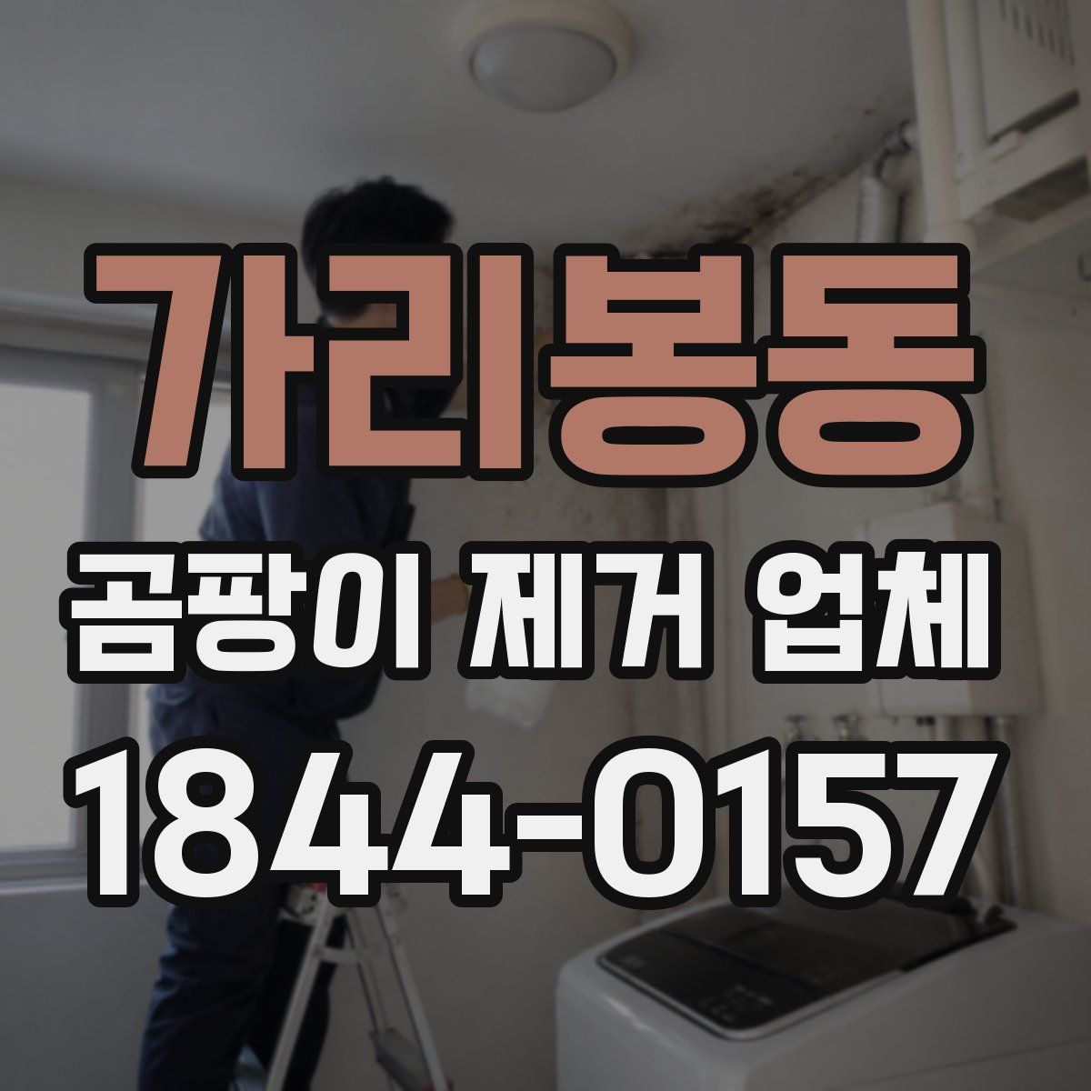 가리봉동 곰팡이 제거 업체