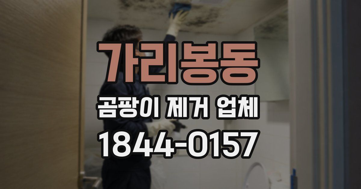 가리봉동 곰팡이 제거 업체