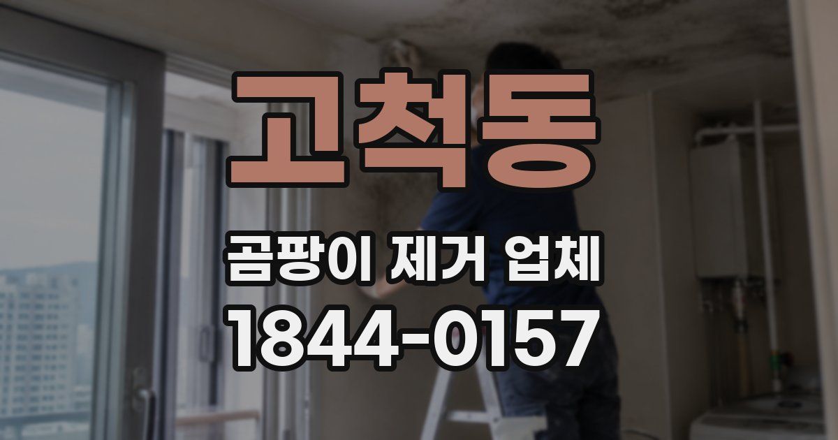 고척동 곰팡이 제거 업체