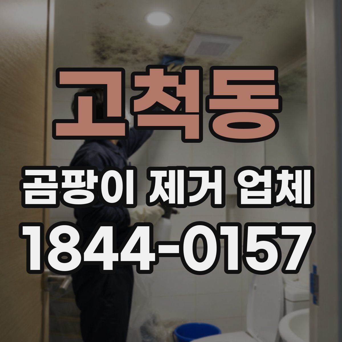 고척동 곰팡이 제거 업체