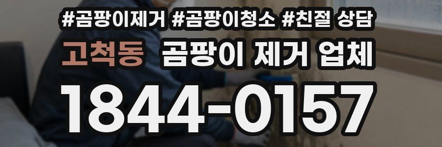 고척동 곰팡이 제거 업체