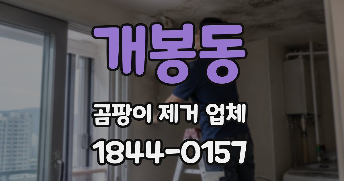 개봉동 곰팡이 제거 업체