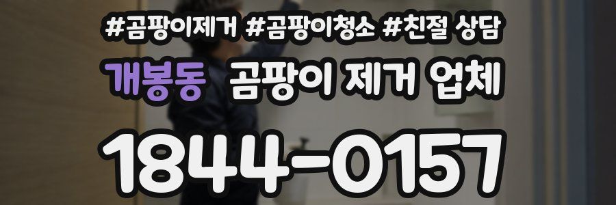 개봉동 곰팡이 제거 업체