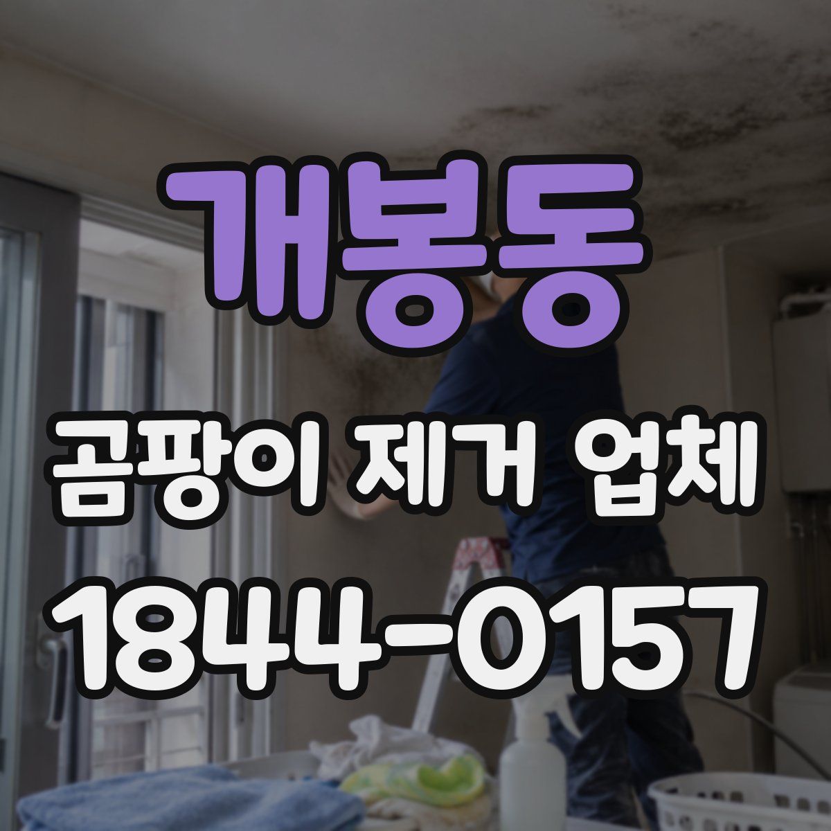 개봉동 곰팡이 제거 업체