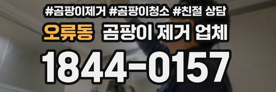 오류동 곰팡이 제거 업체