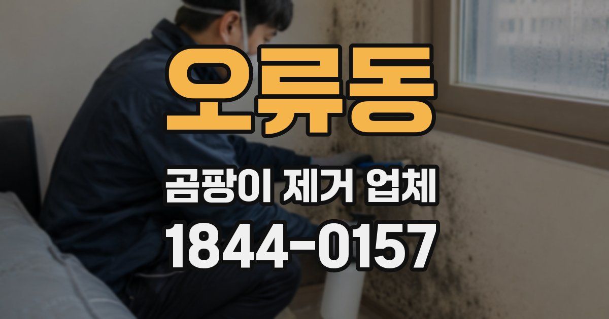 오류동 곰팡이 제거 업체