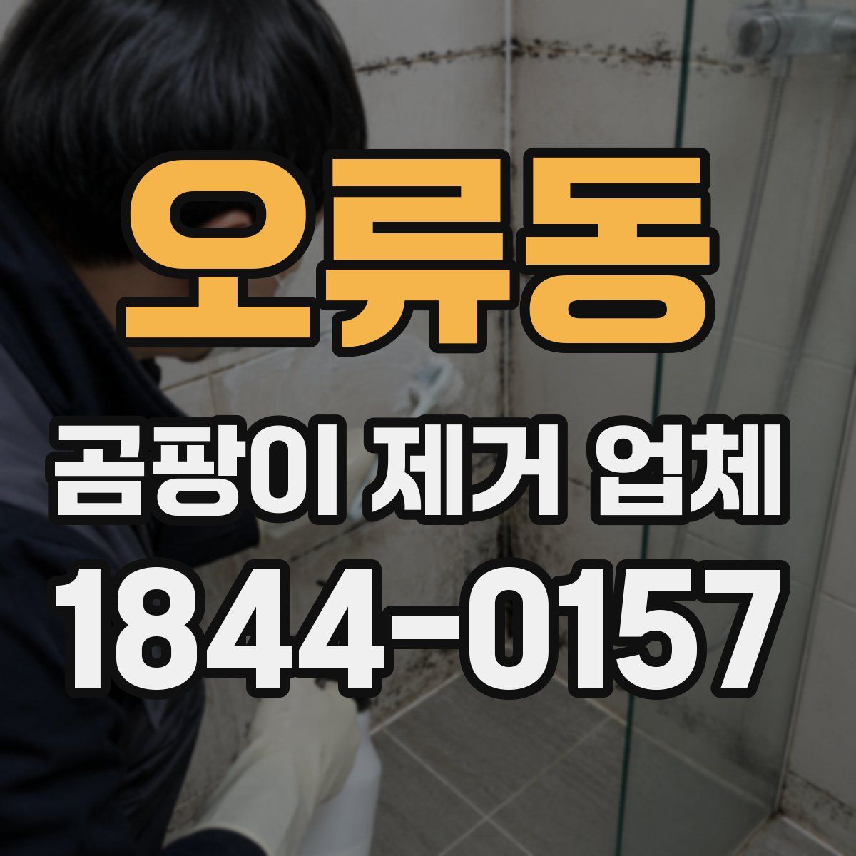 오류동 곰팡이 제거 업체