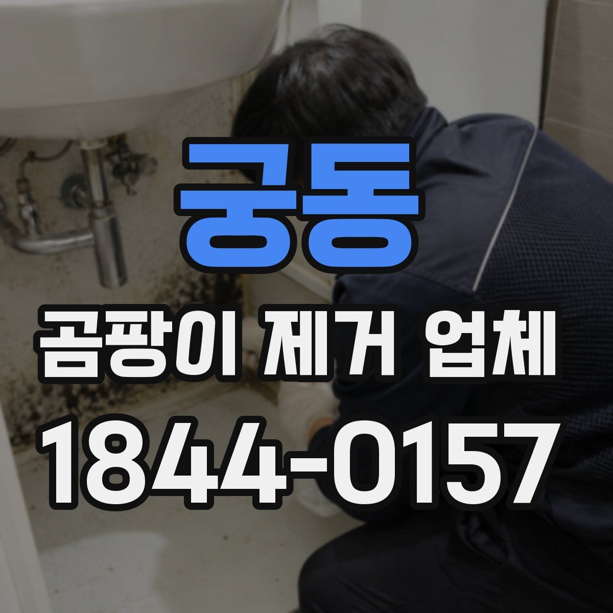 궁동 곰팡이 제거 업체