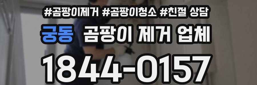 궁동 곰팡이 제거 업체
