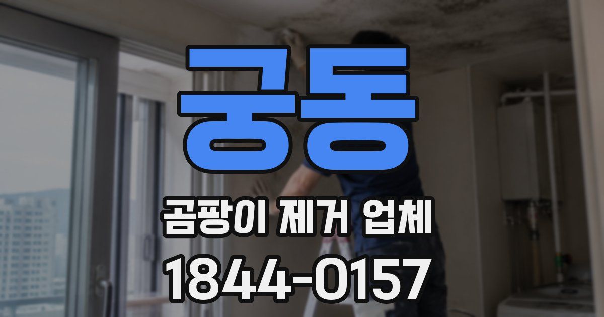 궁동 곰팡이 제거 업체