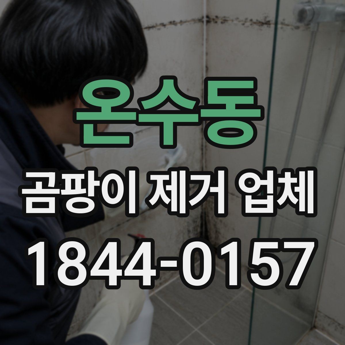 온수동 곰팡이 제거 업체 이용 시 발생할 수 있는 변수