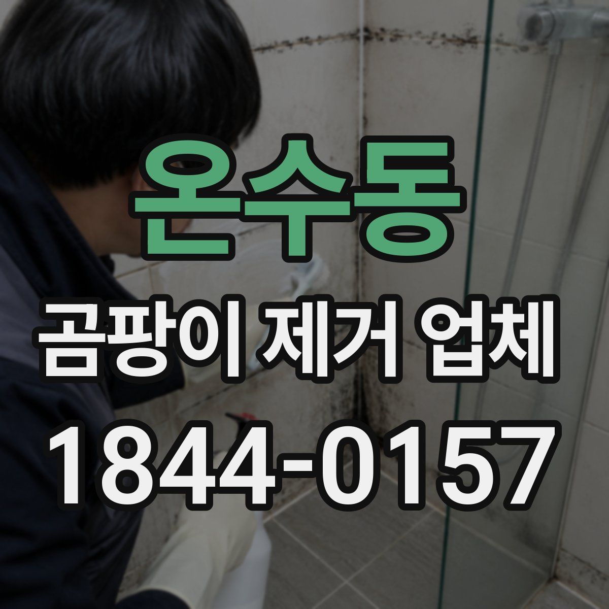 온수동 곰팡이 제거 업체