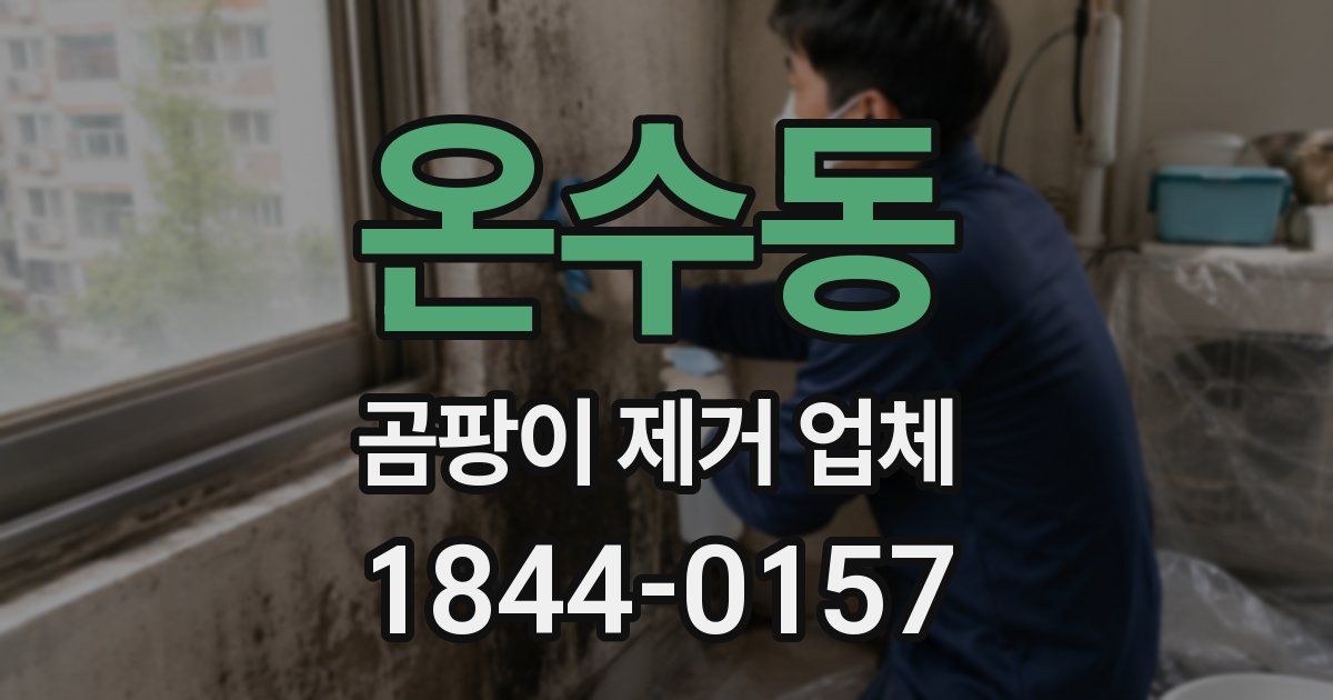 온수동 곰팡이 제거 업체