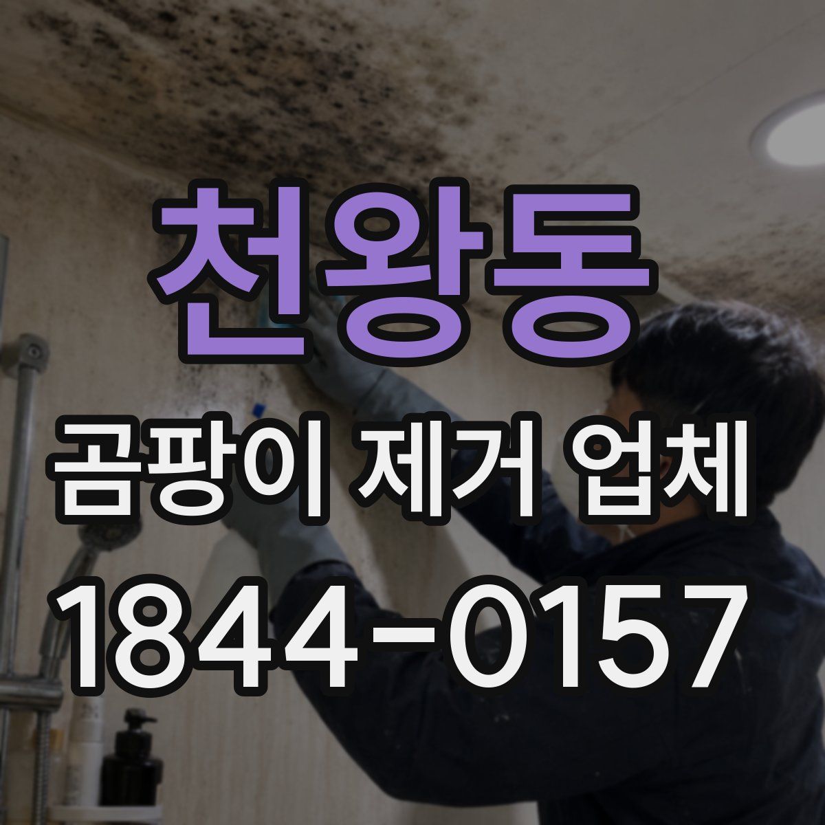 천왕동 곰팡이 제거 업체