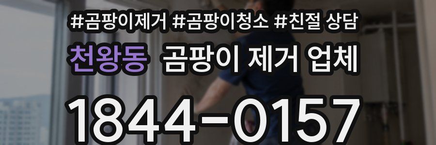 천왕동 곰팡이 제거 업체