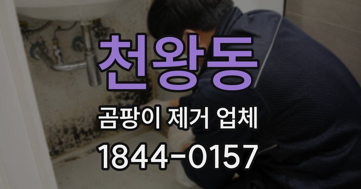 천왕동 곰팡이 제거 업체