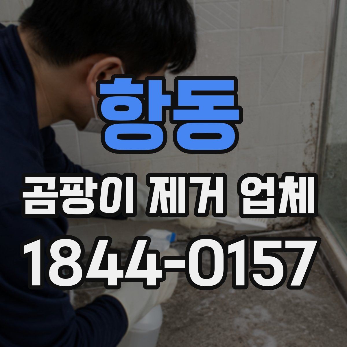항동 곰팡이 제거 업체 후기와 현장 대응 비교하기