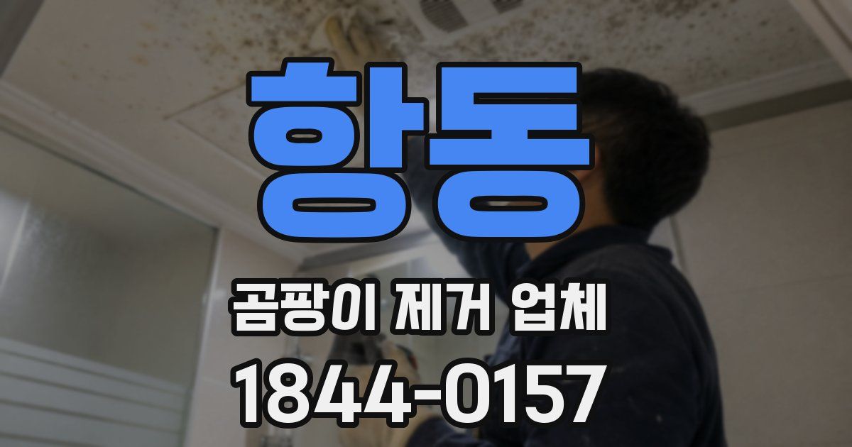 항동 곰팡이 제거 업체