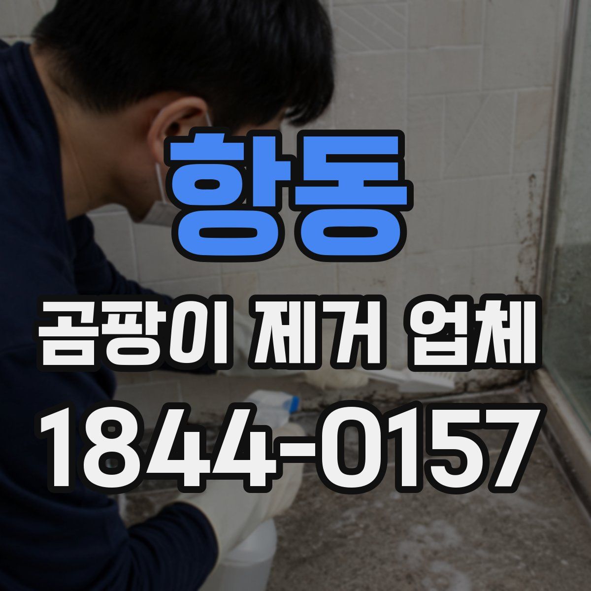 항동 곰팡이 제거 업체