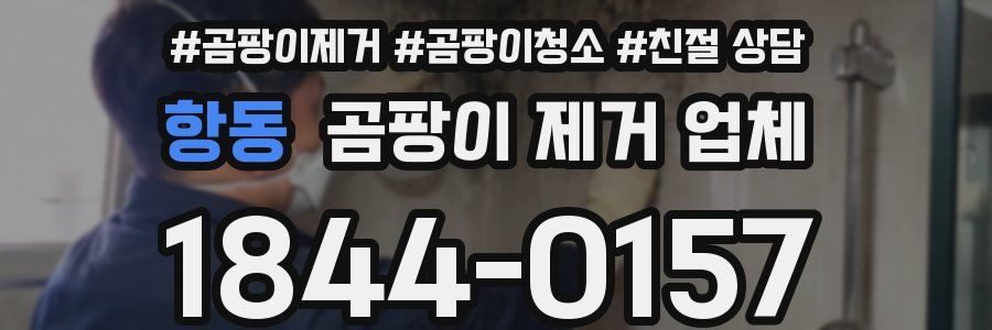 항동 곰팡이 제거 업체