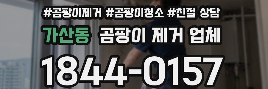 가산동 곰팡이 제거 업체