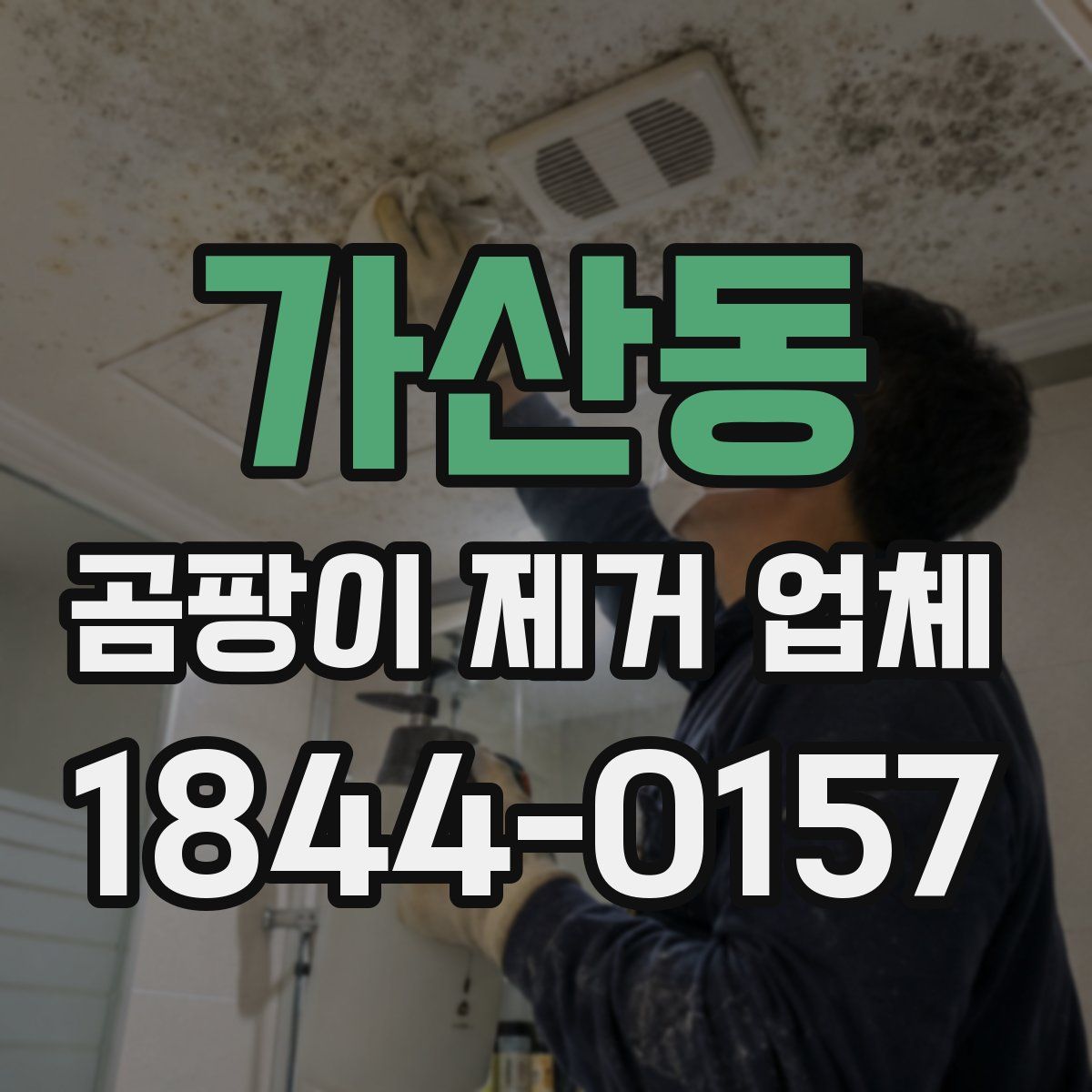 가산동 곰팡이 제거 업체