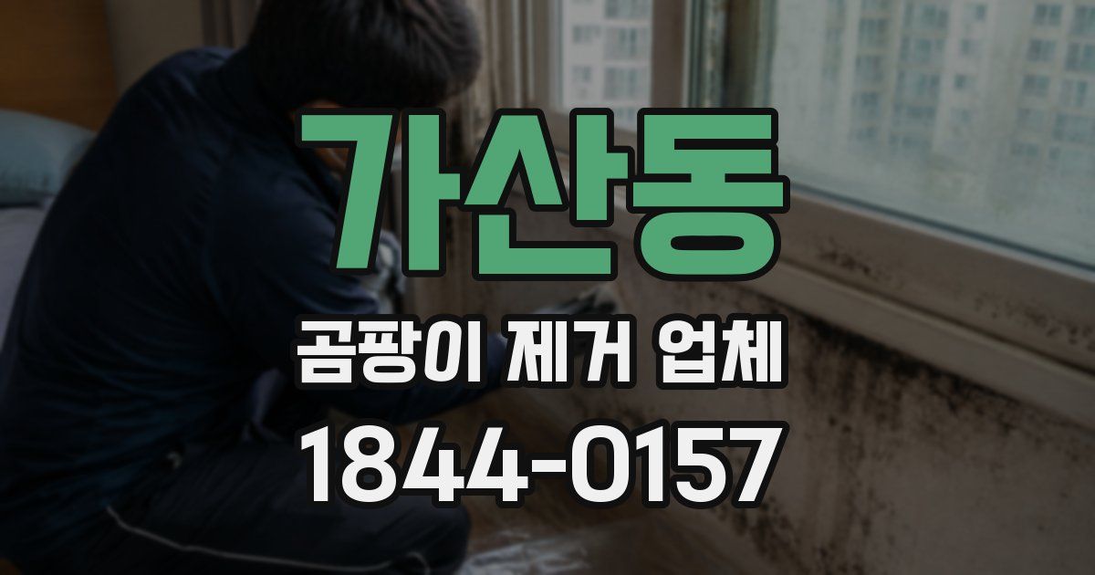 가산동 곰팡이 제거 업체