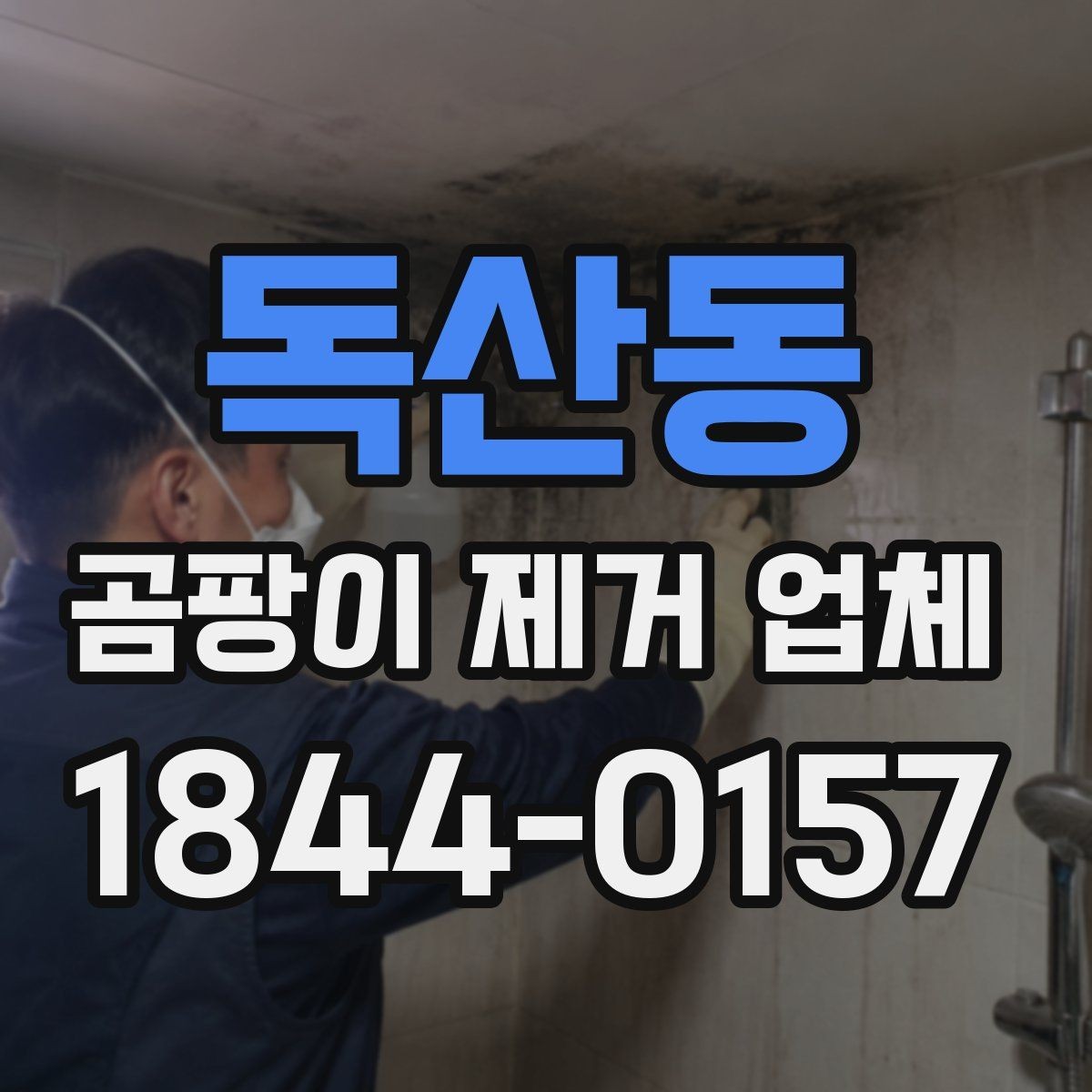독산동 곰팡이 제거 업체 견적이 달라지는 환경 요인