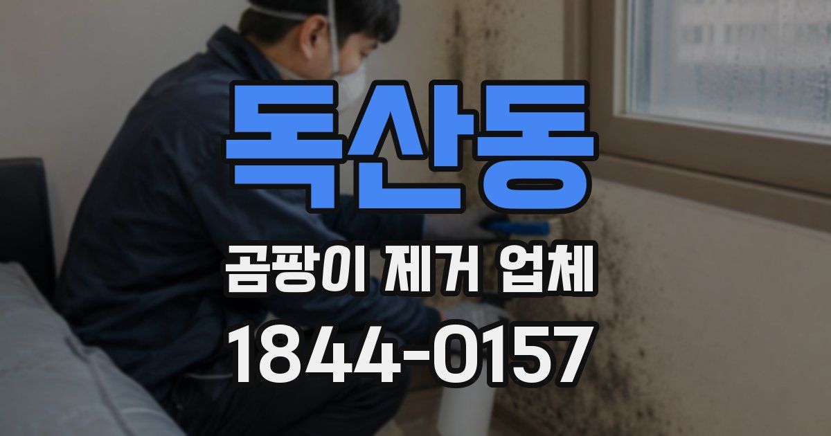 독산동 곰팡이 제거 업체