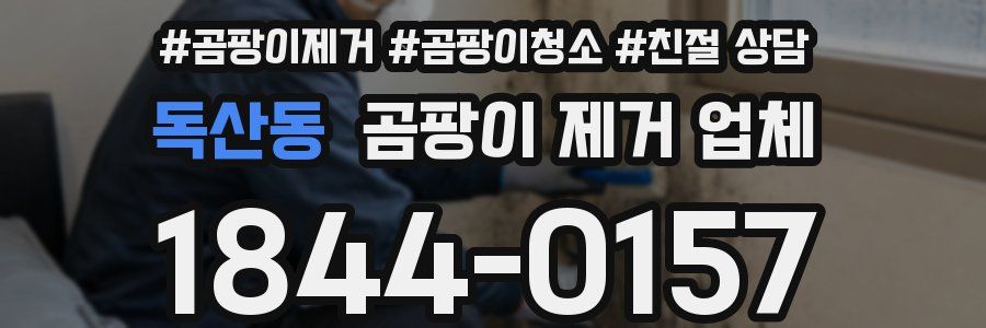 독산동 곰팡이 제거 업체