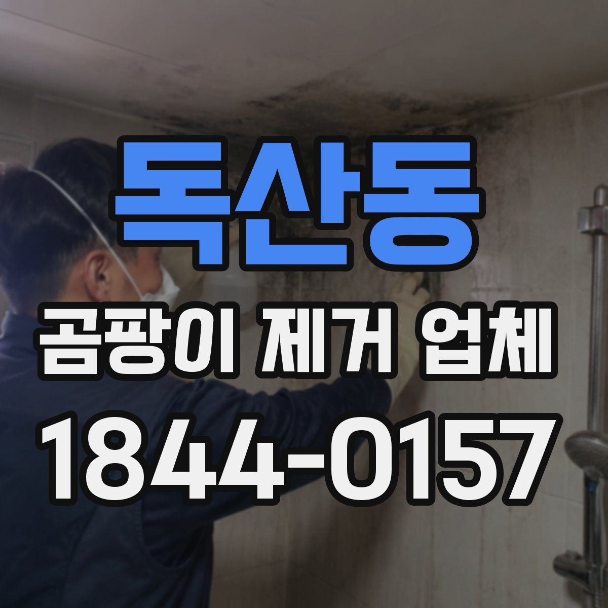 독산동 곰팡이 제거 업체
