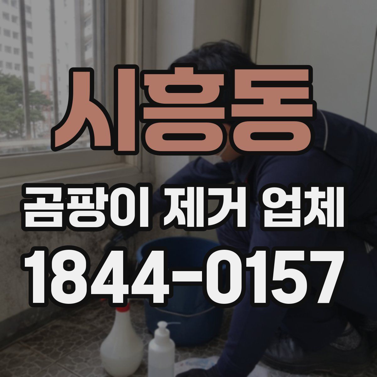 시흥동 곰팡이 제거 업체
