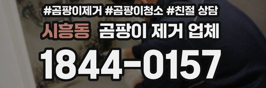 시흥동 곰팡이 제거 업체