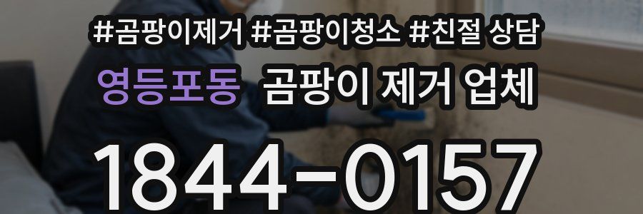 영등포동 곰팡이 제거 업체
