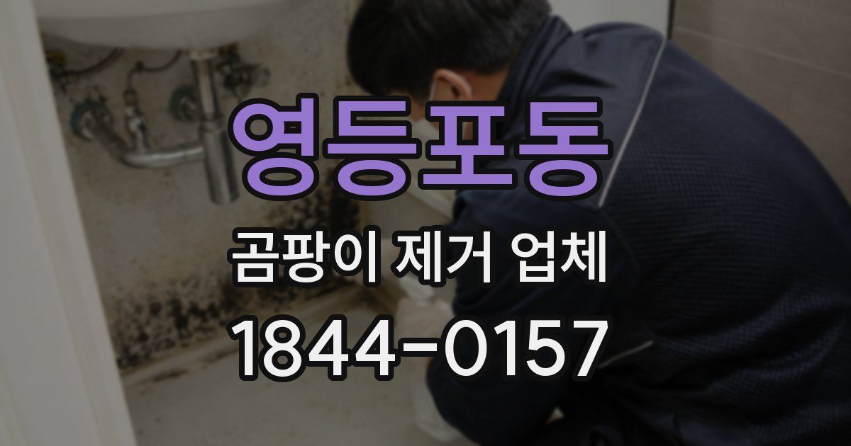 영등포동 곰팡이 제거 업체