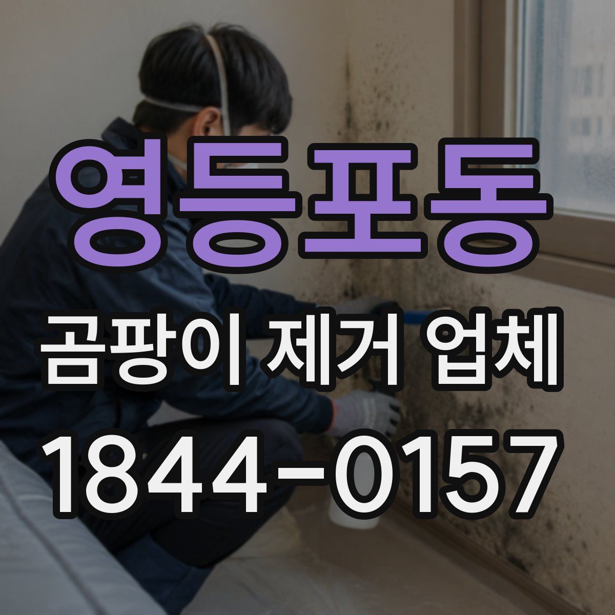 영등포동 곰팡이 제거 업체
