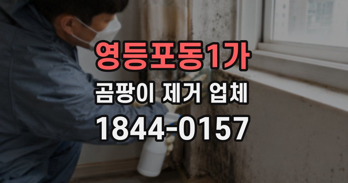 영등포동1가 곰팡이 제거 업체