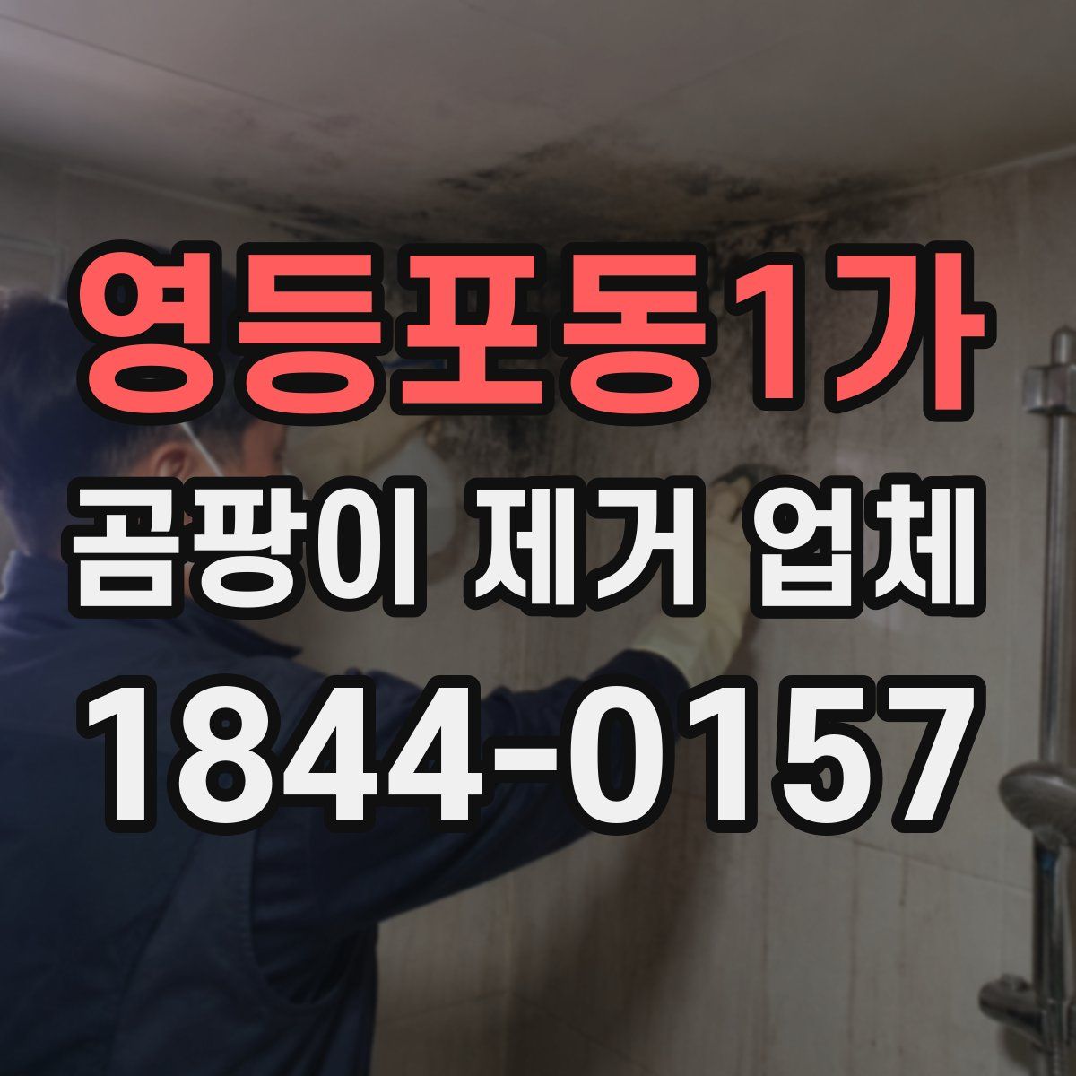 영등포동1가 곰팡이 제거 업체