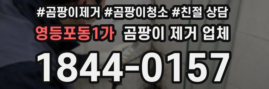 영등포동1가 곰팡이 제거 업체
