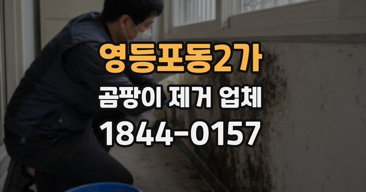 영등포동2가 곰팡이 제거 업체