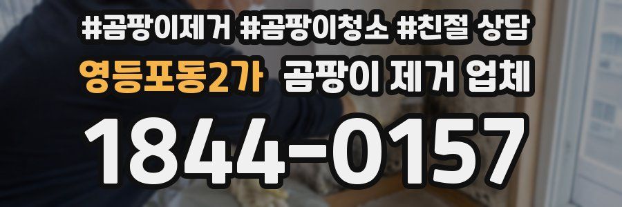 영등포동2가 곰팡이 제거 업체