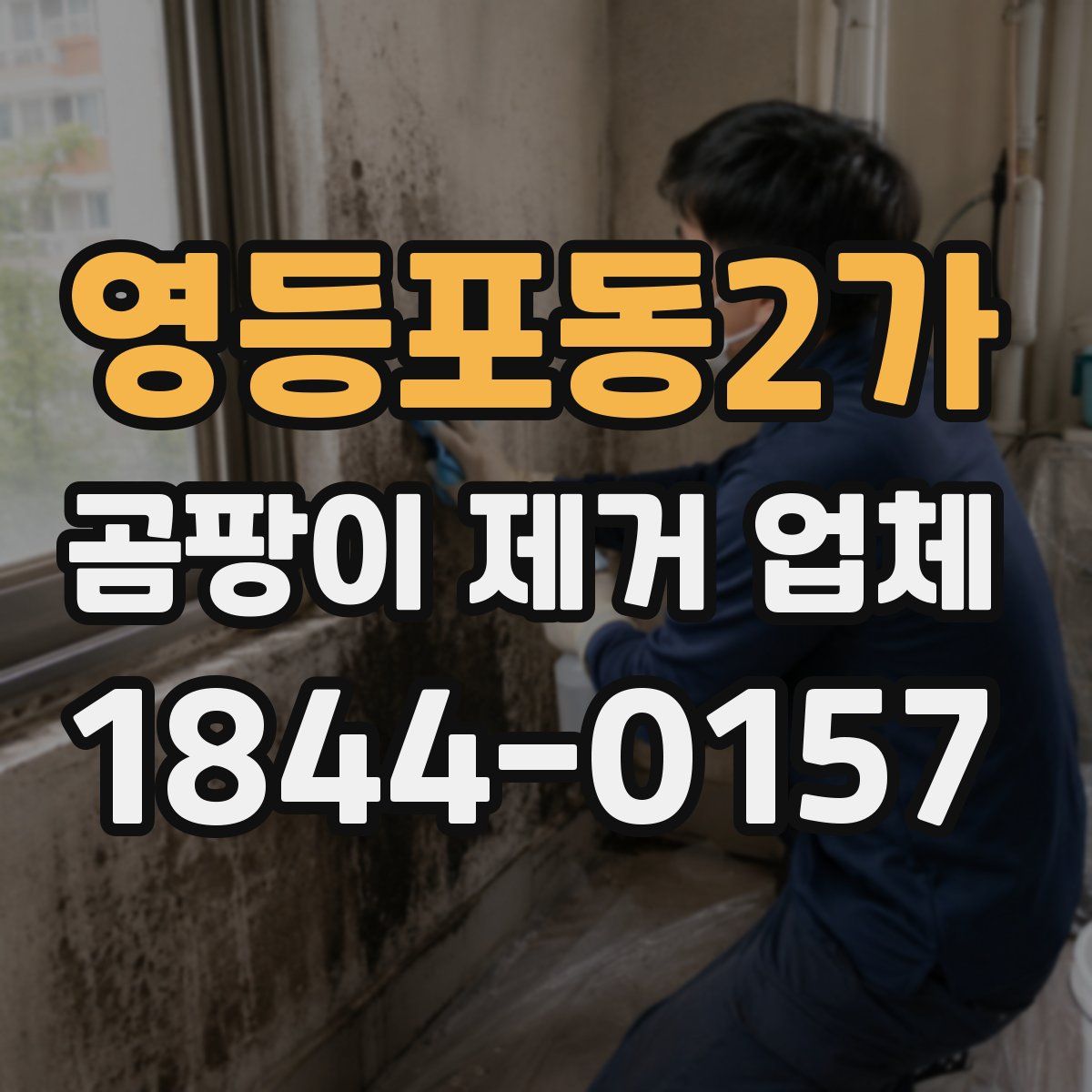 영등포동2가 곰팡이 제거 업체