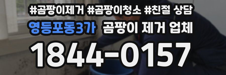 영등포동3가 곰팡이 제거 업체